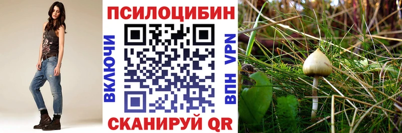 купить наркотик  Кириши  Псилоцибиновые грибы GOLDEN TEACHER 
