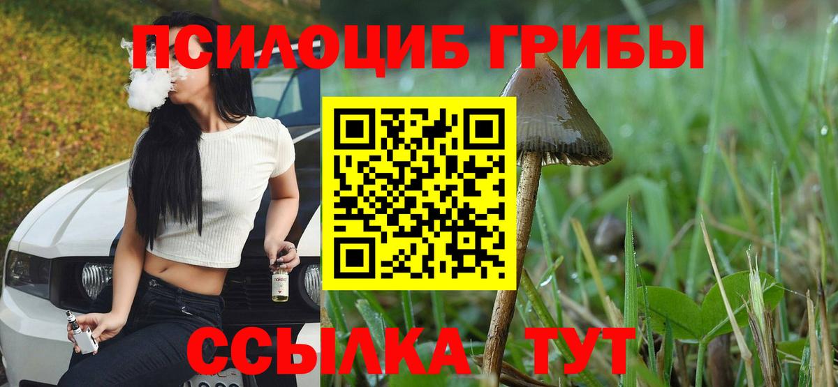 Кириши  Псилоцибиновые грибы Cubensis  Вход с VPN  Псилоцибиновые грибы ЛСД 