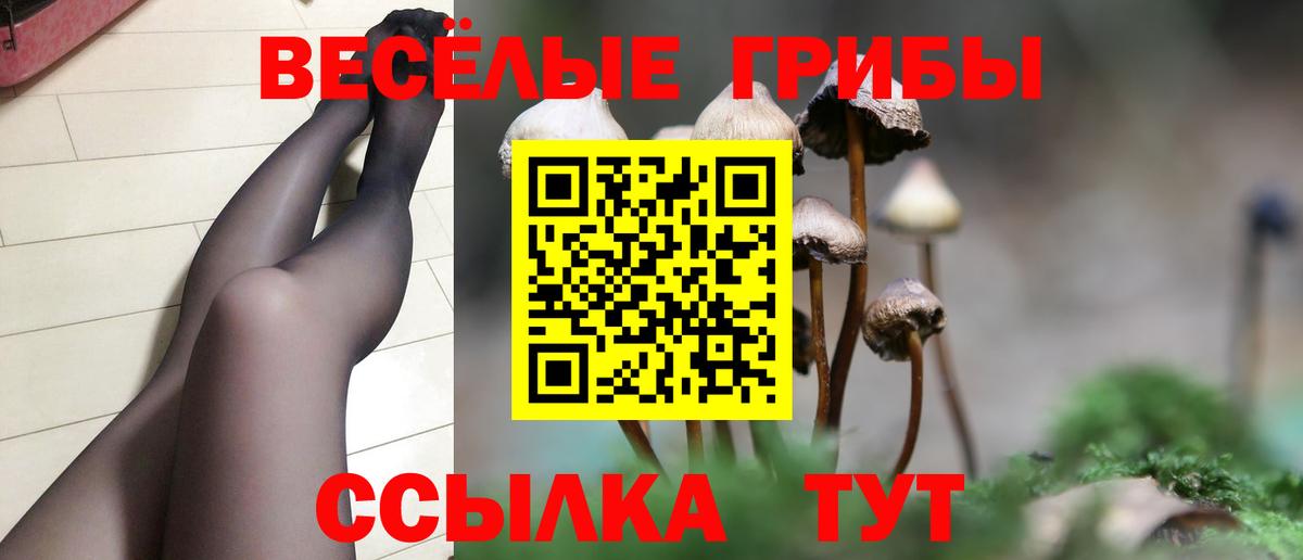 Галлюциногенные грибы мухоморы Кириши